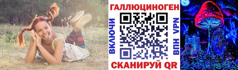 Псилоцибиновые грибы Psilocybine cubensis  Купить закладки  Кизляр 